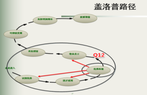 盖洛普路径